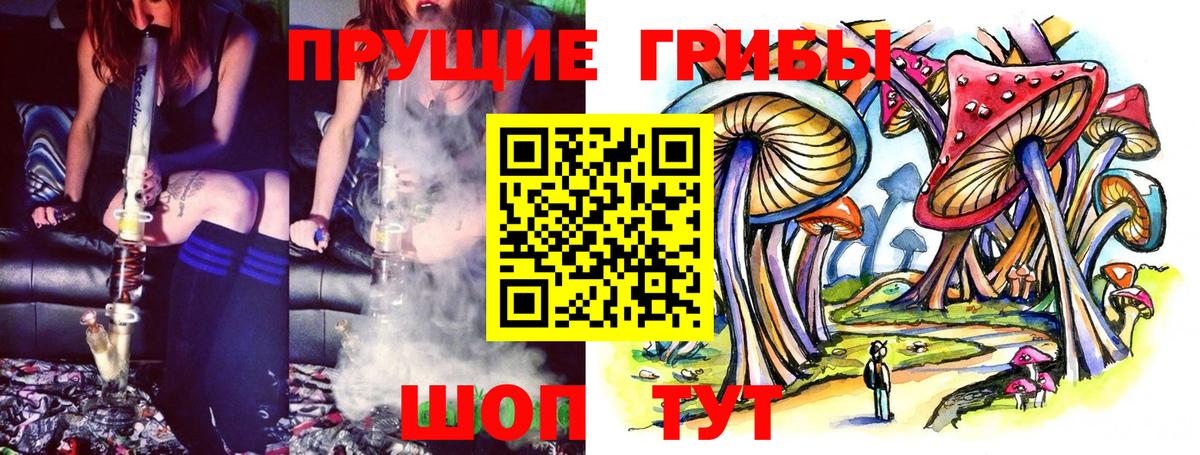 Курчалой  купить   Вход с VPN  Галлюциногенные грибы GOLDEN TEACHER 